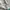 The North Face Gorpcore Sportswear Track jacket Pria blue photo 3