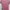 New Balance Casual T-shirt Wanita pink photo 3