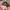 Made in USA Casual Hat Pria multicolor photo 5