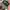 Made in USA Casual Hat Pria multicolor photo 3