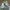 Nike Streetwear Skater Sneakers Pria white photo 4