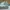 Nike Streetwear Skater Sneakers Pria white photo 1