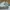 Nike Streetwear Skater Sneakers Pria White