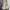 Gorpcore Sportswear Track jacket Pria cream photo 4