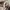 Gorpcore Sportswear Track jacket Pria cream photo 5