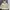 Gorpcore Sportswear Track jacket Pria cream photo 6