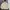 Gorpcore Sportswear Track jacket Pria cream photo 1