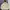 Gorpcore Sportswear Track Jacket Pria Cream