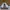 Nike Streetwear Skater Sneakers Pria white black photo 5