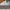 Nike Streetwear Skater Sneakers Pria white photo 1