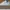 Nike Streetwear Skater Sneakers Pria White