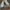 Nike Streetwear Skater Sneakers Pria white photo 3