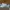 Nike Streetwear Skater Sneakers Pria White