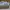 Nike Streetwear Skater Sneakers Pria white blue photo 3