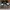 Nike Streetwear Skater Sneakers Pria orange white photo 4