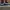 Nike Streetwear Skater Sneakers Pria orange white photo 6