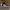 Nike Streetwear Skater Sneakers Pria orange white photo 1