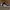 Nike Streetwear Skater Sneakers Pria Orange White