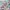 Casual Swimwear Kids multicolor photo 3