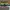 Nike Streetwear Skater Sneakers Pria green white photo 6