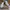 Nike Streetwear Skater Sneakers Pria green white photo 5