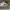 Nike Streetwear Skater Sneakers Pria green white photo 1