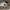 Nike Streetwear Skater Sneakers Pria Green White