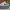 Nike Streetwear Skater Sneakers Pria green white photo 1