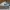 Nike Streetwear Skater Sneakers Pria Green White