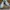 Nike Streetwear Skater Sneakers Pria green white photo 4