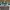 Nike Streetwear Skater Sneakers Pria green white photo 5