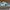 Nike Streetwear Skater Sneakers Pria green white photo 3