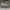 Nike Streetwear Skater Sneakers Pria black gray photo 1
