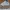 Nike Streetwear Skater Sneakers Pria white photo 1