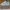 Nike Streetwear Skater Sneakers Pria White