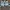 Nike Streetwear Skater Sneakers Pria white photo 5