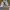 Nike Streetwear Skater Sneakers Pria white photo 4