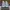 Nike Streetwear Skater Sneakers Pria white photo 2