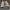 Nike Streetwear Skater Sneakers Pria white photo 3