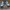Nike Streetwear Sportswear Sneakers Pria green white photo 3