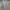 Carhartt Casual Sweatshirt Pria gray photo 1