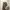 Minimalist Culotte Wanita tan photo 1