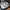 Converse Casual Sneakers Pria white photo 1
