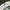 Vintage Y2K T-shirt Pria white photo 3