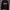 Obey Streetwear Skater Hoody Pria black photo 1