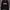Obey Streetwear Skater Hoody Pria Black