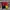 Vintage Y2K Track jacket Pria yellow red photo 2