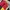 Vintage Y2K Track jacket Pria yellow red photo 1