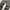 Carhartt Vintage Streetwear Pria green photo 4
