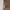 Bershka Casual Sweatpants & Joggers Pria Tan